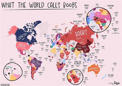 nickname for boobs|Fascinating maps reveal the most.